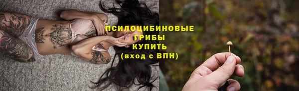 мяу мяу мука Беломорск