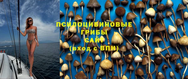 мяу мяу мука Беломорск